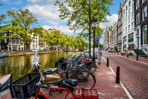 W Holandii wszystko kręci się wokół rowerów